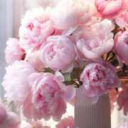 ヒメ日記 2025/10/14 14:28 投稿 小野 華恋人(カレント)