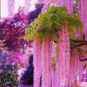 ヒメ日記 2025/10/28 10:27 投稿 小野 華恋人(カレント)