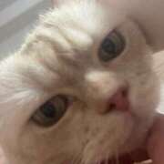 ヒメ日記 2025/01/23 11:36 投稿 大原 リオ Prae(プラエ)