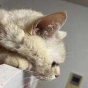 ヒメ日記 2025/01/23 21:10 投稿 大原 リオ Prae(プラエ)