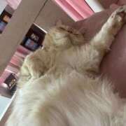 ヒメ日記 2026/01/17 13:51 投稿 大原 リオ Prae(プラエ)