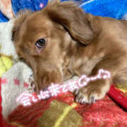 ヒメ日記 2025/08/03 19:21 投稿 あや 人妻倶楽部内緒の関係 柏店