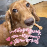 ヒメ日記 2025/09/13 19:08 投稿 あや 人妻倶楽部内緒の関係 柏店