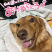 ヒメ日記 2025/09/23 19:19 投稿 あや 人妻倶楽部内緒の関係 柏店