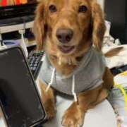 ヒメ日記 2025/12/04 12:24 投稿 あや 人妻倶楽部内緒の関係 柏店