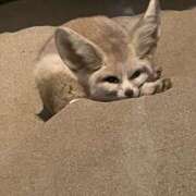 ヒメ日記 2026/01/03 00:59 投稿 あや 人妻倶楽部内緒の関係 柏店