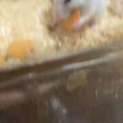 ヒメ日記 2026/01/18 16:47 投稿 あや 人妻倶楽部内緒の関係 柏店