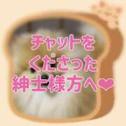 ヒメ日記 2025/01/07 16:15 投稿 かりな 東京人妻セレブリティ（ユメオト）