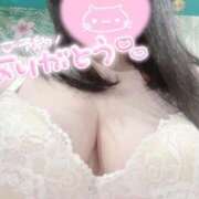 ヒメ日記 2025/02/24 16:07 投稿 あかね ちゃんこ本厚木店