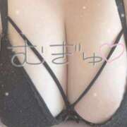 ヒメ日記 2025/03/27 18:36 投稿 あかね ちゃんこ本厚木店