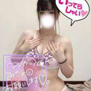 ヒメ日記 2025/03/04 08:01 投稿 しお CA倶楽部