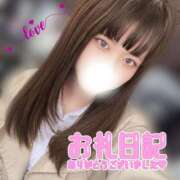 ヒメ日記 2025/03/17 13:51 投稿 しお CA倶楽部