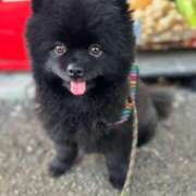 ヒメ日記 2025/04/27 20:07 投稿 えれん One More奥様　立川店