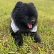 ヒメ日記 2025/09/01 20:09 投稿 えれん One More奥様　八王子店