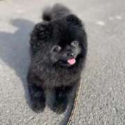 ヒメ日記 2025/09/11 20:19 投稿 えれん One More奥様　八王子店