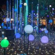 えれん 🩶𝙏𝙝𝙖𝙣𝙠 𝙮𝙤𝙪🩶 One More奥様　八王子店