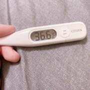 ヒメ日記 2025/01/21 12:37 投稿 アヤノ(奥方) 奥様幕府