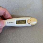 ヒメ日記 2025/05/13 11:57 投稿 アヤノ(奥方) 奥様幕府