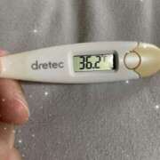 ヒメ日記 2025/05/17 12:37 投稿 アヤノ(奥方) 奥様幕府