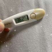 ヒメ日記 2025/05/19 12:31 投稿 アヤノ(奥方) 奥様幕府