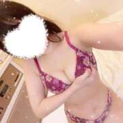 ヒメ日記 2025/05/27 01:22 投稿 アヤノ(奥方) 奥様幕府