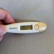 ヒメ日記 2025/05/30 16:17 投稿 アヤノ(奥方) 奥様幕府