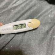 ヒメ日記 2025/07/15 14:17 投稿 アヤノ(奥方) 奥様幕府