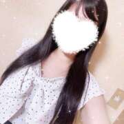 ヒメ日記 2025/07/17 02:57 投稿 アヤノ(奥方) 奥様幕府