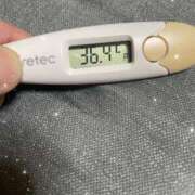 ヒメ日記 2025/07/17 14:07 投稿 アヤノ(奥方) 奥様幕府