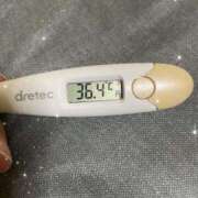 ヒメ日記 2025/07/18 12:47 投稿 アヤノ(奥方) 奥様幕府