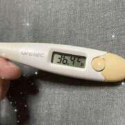 ヒメ日記 2025/07/23 15:09 投稿 アヤノ(奥方) 奥様幕府