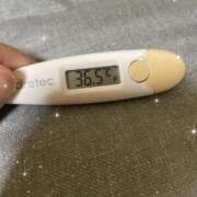 ヒメ日記 2025/07/24 13:57 投稿 アヤノ(奥方) 奥様幕府