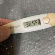 ヒメ日記 2025/07/26 15:27 投稿 アヤノ(奥方) 奥様幕府