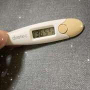 ヒメ日記 2025/07/27 12:44 投稿 アヤノ(奥方) 奥様幕府