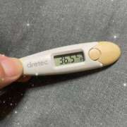 ヒメ日記 2025/07/31 10:57 投稿 アヤノ(奥方) 奥様幕府