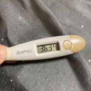 ヒメ日記 2025/08/05 11:17 投稿 アヤノ(奥方) 奥様幕府