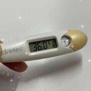 ヒメ日記 2025/08/07 13:47 投稿 アヤノ(奥方) 奥様幕府