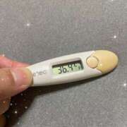 ヒメ日記 2025/08/09 12:57 投稿 アヤノ(奥方) 奥様幕府