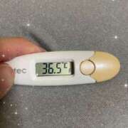 ヒメ日記 2025/08/16 04:07 投稿 アヤノ(奥方) 奥様幕府