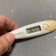 ヒメ日記 2025/08/18 14:47 投稿 アヤノ(奥方) 奥様幕府