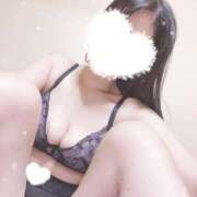 ヒメ日記 2025/08/18 15:57 投稿 アヤノ(奥方) 奥様幕府