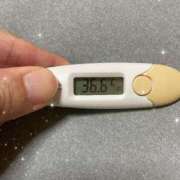 ヒメ日記 2025/08/22 15:07 投稿 アヤノ(奥方) 奥様幕府