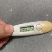 ヒメ日記 2025/08/26 14:47 投稿 アヤノ(奥方) 奥様幕府