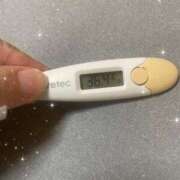 ヒメ日記 2025/08/27 14:57 投稿 アヤノ(奥方) 奥様幕府