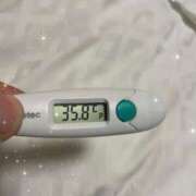 ヒメ日記 2025/09/30 14:47 投稿 アヤノ(奥方) 奥様幕府