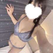 ヒメ日記 2025/09/30 17:17 投稿 アヤノ(奥方) 奥様幕府