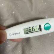 ヒメ日記 2025/10/08 13:27 投稿 アヤノ(奥方) 奥様幕府