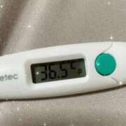 ヒメ日記 2025/10/13 13:17 投稿 アヤノ(奥方) 奥様幕府