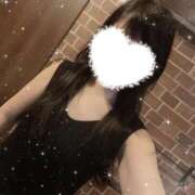 ヒメ日記 2025/10/15 01:37 投稿 アヤノ(奥方) 奥様幕府