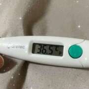 ヒメ日記 2025/10/23 15:17 投稿 アヤノ(奥方) 奥様幕府